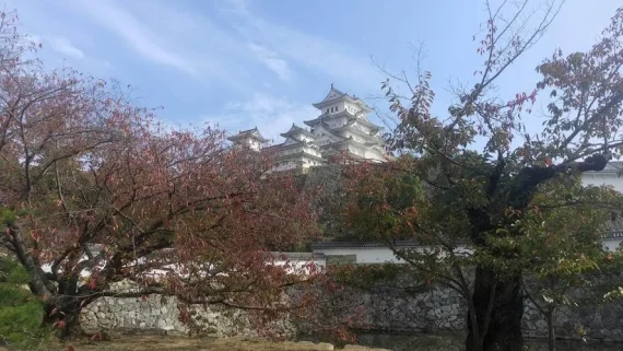 Relación España Japón - Konnichiwa Japan Lover